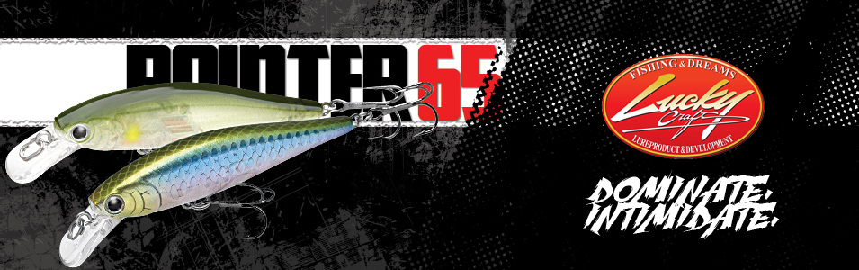 Immagine del prodotto Lucky Craft Pointer 65 SP